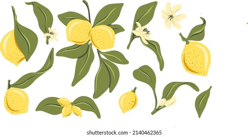 Colourful vector yellow  lemon set with green leaf and white flowers 