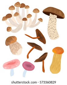 Colourful Wild Mushroom Set