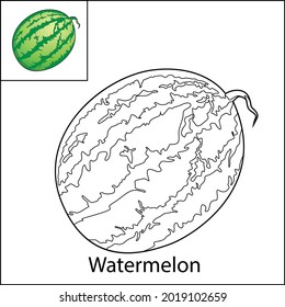 For colouring kid, a watermelon