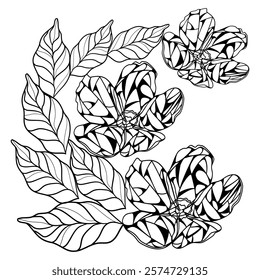 Colouring page with flowers and leaves in stained glass windows technique vector illustration 