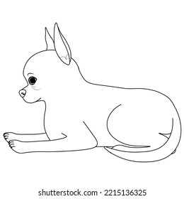 Colouring page, hand drawn, vector. Dog 5, breed Chihuahua, object isolated on white background.