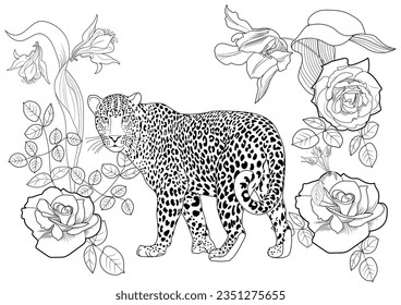 Colouring pictures. Basketof flowers and a leopard. Antistress freehand sketch drawing with doodle and zentangle elements. Рictures are ideal for creating wallpaper, labels, crafts and other projects.