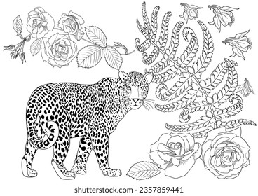 Colouring pictures. Basketof flowers and a leopard. Antistress freehand sketch drawing with doodle and zentangle elements. Рictures are ideal for creating wallpaper, labels, crafts and other projects.
