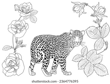 Colouring pictures. Basketof flowers and a leopard. Antistress freehand sketch drawing with doodle and zentangle elements. Рictures are ideal for creating wallpaper, labels, crafts and other projects.
