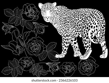 Colouring pictures. Basketof flowers and a leopard. Antistress freehand sketch drawing with doodle and zentangle elements. Рictures are ideal for creating wallpaper, labels, crafts and other projects.