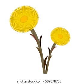 Coltsfoot clip art double, vector