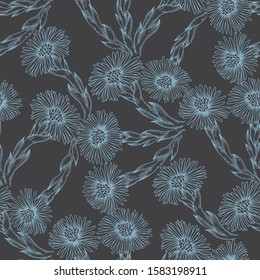 Coltsfoot. Seamless pattern with hand-drawn flowers on black background.  Vector illustration. Line art.