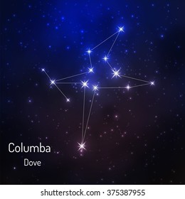 Columba constellation in the night starry sky. Vector illustration 