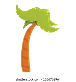 Columbian palm icon. Cartoon of columbian palm vector icon for web design isolated on white background