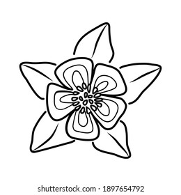 Columbine Flower Floral Hand Drawn. Vector Design Illustration Sign Logo.