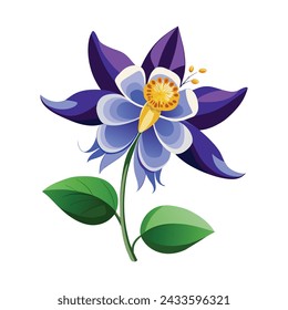 Columbine Flower Illustration on White Background