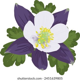 Columbine Flower with Leaves Isolated