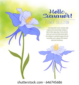 A Columbine flower on a green watercolor background. The flowers in the botanical style, minimalistic design. A place for the inscription. Hello, summer! Stock line vector illustration.