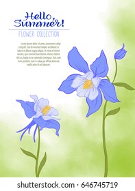 A Columbine flower on a green watercolor background. The flowers in the botanical style, minimalistic design. A place for the inscription. Hello, summer! Stock line vector illustration.