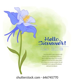 A Columbine flower on a green watercolor background. The flowers in the botanical style, minimalistic design. A place for the inscription. Hello, summer! Stock line vector illustration.