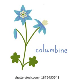 Columbine vector flower isolated illustration