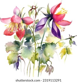 Columbine Watercolor illustration. Hand drawn underwater element design. Artistic vector marine design element. Illustration for greeting cards, printing and other design projects.