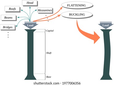 Column Buckling – A Column Under A Concentric Axial Load