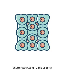 Columnar Cells Anatomy Overview for Study