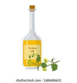 Colza oil in bottle and oilseed rape flowers. Decanter with cork isolated on white background. Agricultural plant cartoon vector illustration.