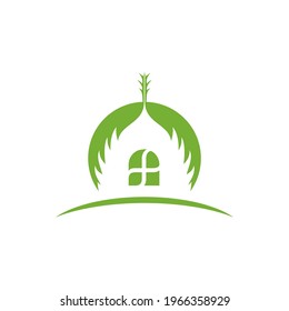 a combination of date palm leaves and a house window