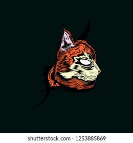 
a combination of foxes and cats