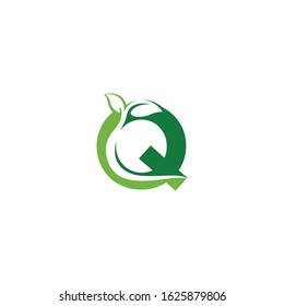 Combination of green leaf and initial letters Q logo design vectors