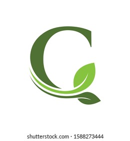 Combination of leaf and initial letters C logo design vectors
