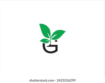 Combination logo,letter and plant design vector,