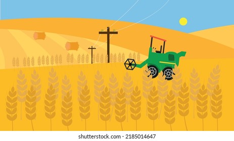 Combine in the field harvests wheat