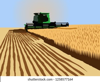 combine harvester in fieldvector illustration