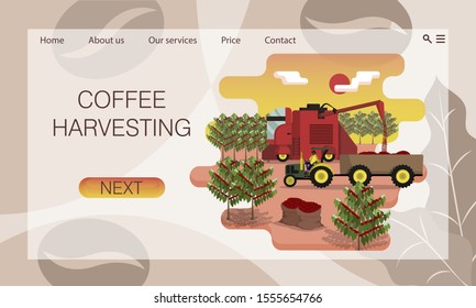 Combine harvester is harvest the coffee berries on plantation. Agricultural machinery. Tractor loaded with coffee. Farm work. Flat cartoon vector. Concept of website, landing page design template