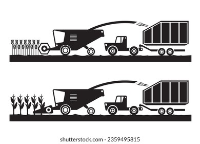 Combine harvester and tractor in wheat and corn fields - vector illustration