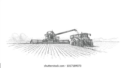 Combine Harvester and tractor working in field illustration. Vector.