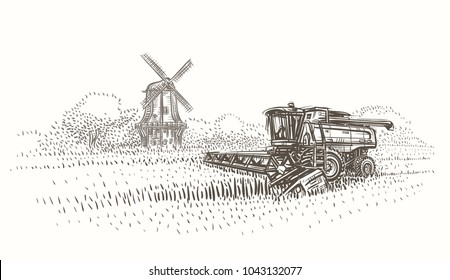 Combine harvester at work in the field near mill sketch illustration. Vector. 