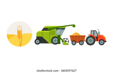Combine Reaping and Harvesting Grain Crops from Field for Bread Production Vector Set