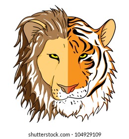 Combined faces of lion and tiger.