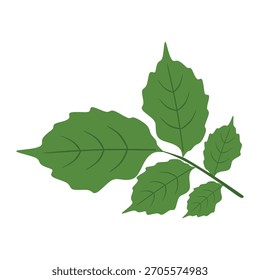 Combined flat design peppermint leaves. Represents fresh and herbal concepts. Simple vector element. Modern style with clean lines for natural products.