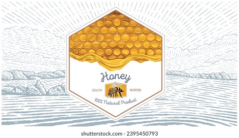 Combined illustration, which includes of a honeycomb filled with honey, with a bee and a rural landscape in the background. Form of a set as a label layout,  Vector illustration.