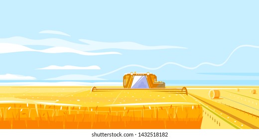 Combines harvesting wheat fields in front view, autumn rural landscape with harvesting machine and haystacks, dried haystack to the horizon in simple colors and lines, farming life illustration