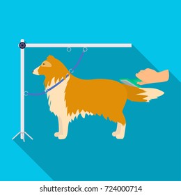 Combing a pet's fur, a dog in a stylish salon. Pet,dog care single icon in flat style vector symbol stock illustration web.