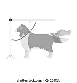 Combing a pet's fur, a dog in a stylish salon. Pet,dog care single icon in monochromt style vector symbol stock illustration web.
