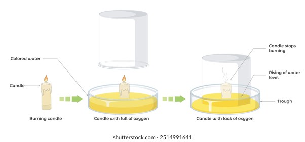 The combustion of a candle is a chemical process that occurs when the wax of the candle reacts with the oxygen in the air to produce heat, light, carbon dioxide (CO₂), and water vapor.