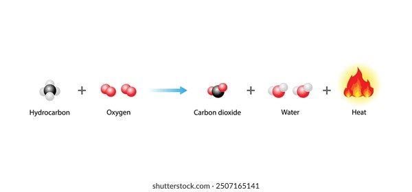 Combustion reaction. chemical reaction hydrocarbon and oxygen reaction to produce carbon dioxide, water and heat. Experiment explanation. Scientific vector illustration.