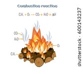Combustion reaction - wood burning at fire camp. Types of chemical reactions, part 5 of 7. Educational chemistry for kids. Cartoon vector illustration in flat style. 