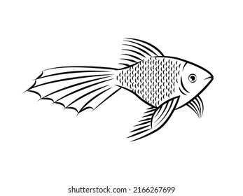 Comet Gold Fish Vektorgrafik. Line Art von Fisch.