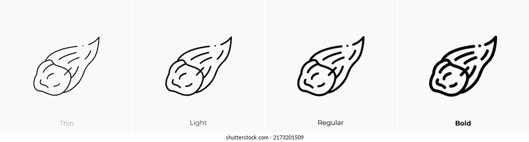 comet icon. Thin, Light Regular And Bold style design isolated on white background
