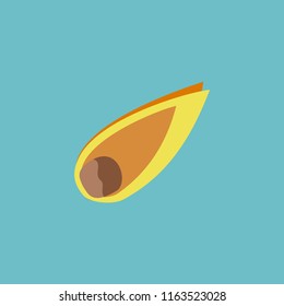 Comet icon vector