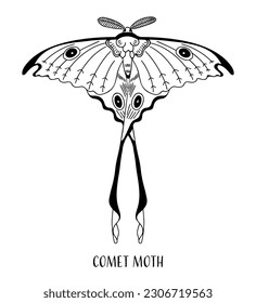 Comet moth ilustración dibujada a mano. Vector de polilla lunar malgache aislado en blanco y negro 