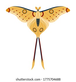 Comet Moth or Madagascan Moon Butterfly. Tropical rainforest Argema mittrei in yellow color. Colorful exotic moth with antennae and tale, flying insect in flat design.